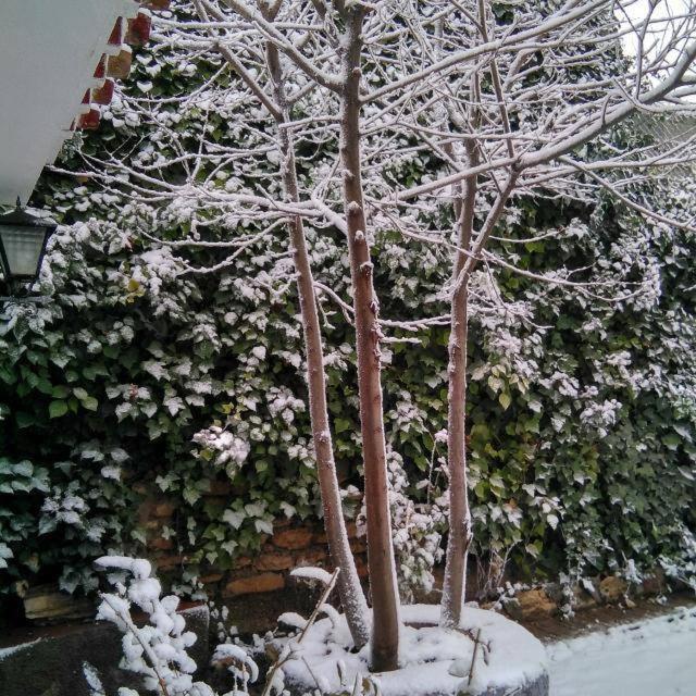 마리아 La Casilla 게스트하우스 외부 사진